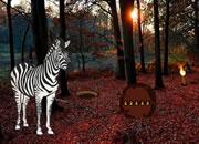Autumn Zebra Forest Escape