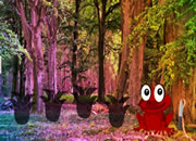 Red Frog Forest Escape