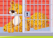 Poor Cheetah Rescue