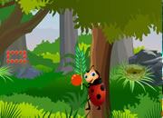 Ladybug Jungle Escape