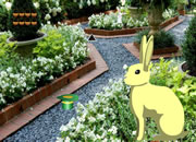 Easter Rabbit Pair Escape