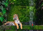 Escape From Tiger Forest