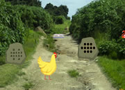 Innocent Hen Chick Escape