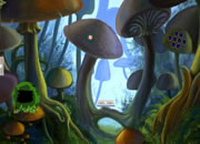 Secret Mushroom Land Escape