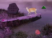 Pink Deer Lake Escape