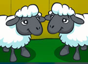 双胞胎绵羊逃脱