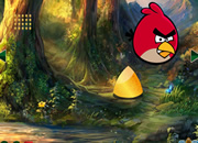 Angry Bird Jungle Escape