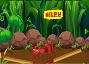 Rescue The Innocent Ant