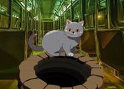 Abandoned Train Cat Escape