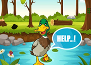Help the Charming Duck