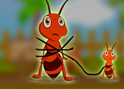 Release the Red Ant