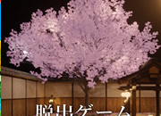 Sakura Falling Hot Spring Inn Escape