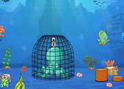 Release Octopus from Cage