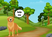 Dog Find Child Puppy