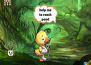 Wounded Duckling Reach Pond
