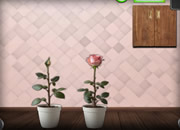 Easy Room Escape 316