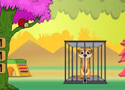 放猫鼬逃出笼子