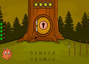 Gelada Baboon Rescue from Cage