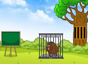 Escape the Boar from Cage