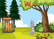 奇塔尔小熊逃脱