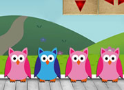 寻找森林守护者盖亚