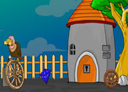 American Wirehair Cat Escape