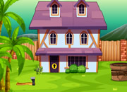 Congo Lion Cub Rescue