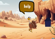 火鸡逃离沙漠