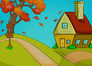 救猫逃出蛋笼子