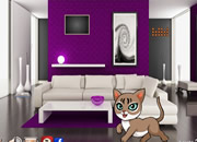 小猫逃出见朋友