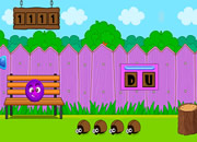 Escape the Panda from Cage