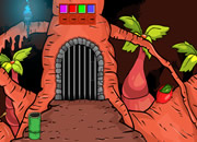 Petrogale Concinna Rescue