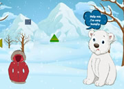 喂食饥饿的北极熊