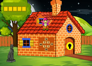 胡波鸟从笼中逃脱