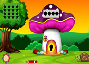 Owl Chicks Rescue from Cage