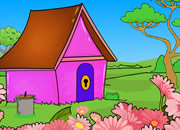 猫头鹰家族逃出笼子