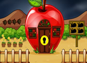 Find the Small Boy Camera