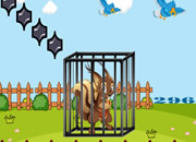 Trapped Squirrel Escape