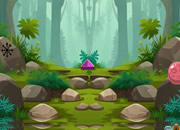 长颈鹿寻找走失的幼崽