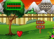 喂食饥饿的骆驼