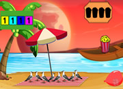 可爱宠物龟逃出笼