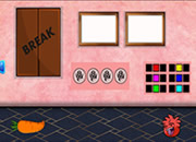 喂食饥饿的索科克猫