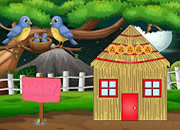 Bird Hut Escape
