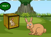 救出小兔子