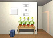 Escape Challenge 262: Room with Rapeseed Flowers