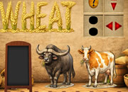 Find Paddy Field Worker Ethan