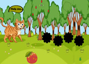 Cat Encounter Familiar Friends