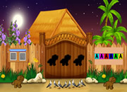 Rescue the Ringneck Dove from Cage