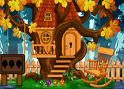 Green Sea Turtle Rescue