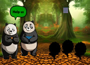 饥饿熊猫到达竹林